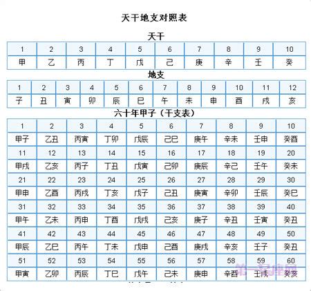 1991 天干地支|干支纪年对照表，天干地支年份对照表